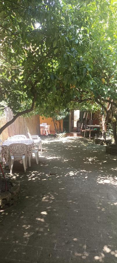 מלון נאפולי Il Giardino Nascosto מראה חיצוני תמונה