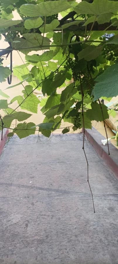 מלון נאפולי Il Giardino Nascosto מראה חיצוני תמונה